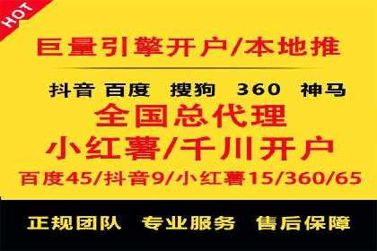 SEO与百度推广结合的营销策略——经典案例解析